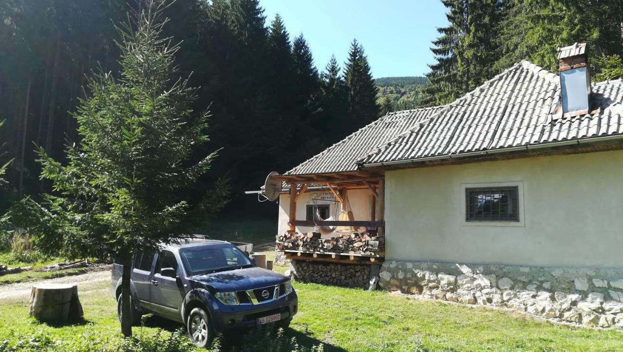 Cabana Pietricica Dimbovicioara Exterior photo